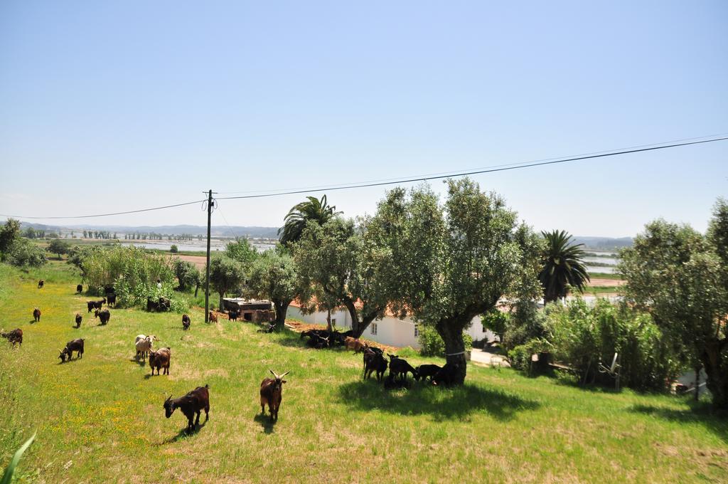 Termas Da Azenha Otel Figueira da Azoia Dış mekan fotoğraf
