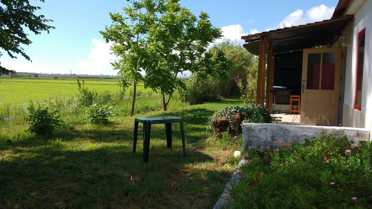 Termas Da Azenha Otel Figueira da Azoia Dış mekan fotoğraf